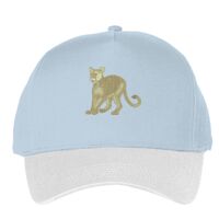 Classic 5-panel snapback (6007) Vignette