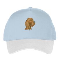 Classic 5-panel snapback (6007) Vignette