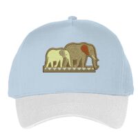 Classic 5-panel snapback (6007) Vignette