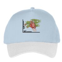 Classic 5-panel snapback (6007) Vignette