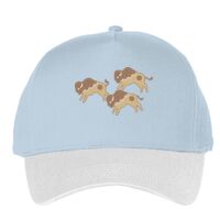 Classic 5-panel snapback (6007) Vignette