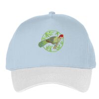 Classic 5-panel snapback (6007) Vignette