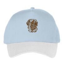 Classic 5-panel snapback (6007) Vignette