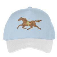 Classic 5-panel snapback (6007) Vignette