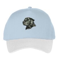 Classic 5-panel snapback (6007) Vignette