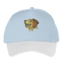 Classic 5-panel snapback (6007) Vignette