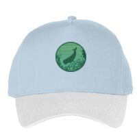 Classic 5-panel snapback (6007) Vignette