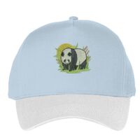 Classic 5-panel snapback (6007) Vignette