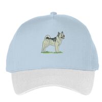 Classic 5-panel snapback (6007) Vignette