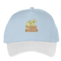 Classic 5-panel snapback (6007) Vignette