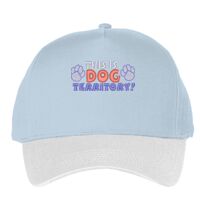 Classic 5-panel snapback (6007) Vignette