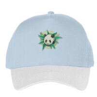 Classic 5-panel snapback (6007) Vignette