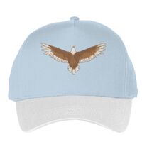 Classic 5-panel snapback (6007) Vignette