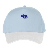 Classic 5-panel snapback (6007) Vignette