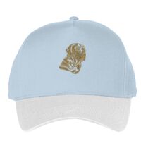 Classic 5-panel snapback (6007) Vignette