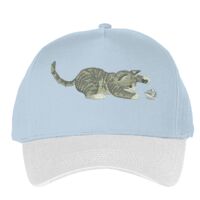 Classic 5-panel snapback (6007) Vignette