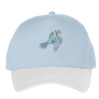 Classic 5-panel snapback (6007) Vignette