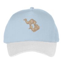 Classic 5-panel snapback (6007) Vignette