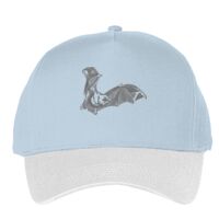 Classic 5-panel snapback (6007) Vignette