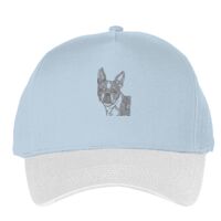 Classic 5-panel snapback (6007) Vignette