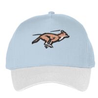 Classic 5-panel snapback (6007) Vignette