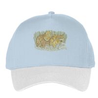 Classic 5-panel snapback (6007) Vignette