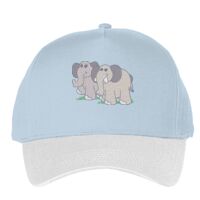 Classic 5-panel snapback (6007) Vignette