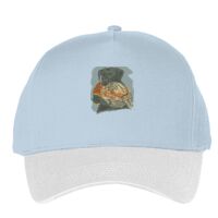 Classic 5-panel snapback (6007) Vignette