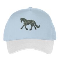 Classic 5-panel snapback (6007) Vignette