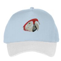 Classic 5-panel snapback (6007) Vignette