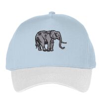 Classic 5-panel snapback (6007) Vignette