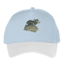 Classic 5-panel snapback (6007) Vignette