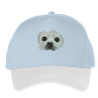 Classic 5-panel snapback (6007) Vignette