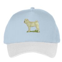 Classic 5-panel snapback (6007) Vignette