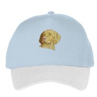 Classic 5-panel snapback (6007) Vignette