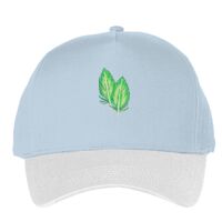 Classic 5-panel snapback (6007) Vignette