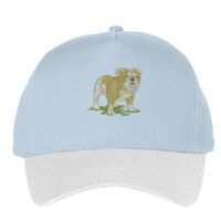 Classic 5-panel snapback (6007) Vignette