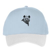 Classic 5-panel snapback (6007) Vignette