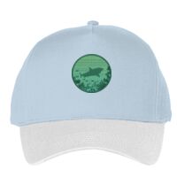 Classic 5-panel snapback (6007) Vignette