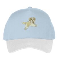 Classic 5-panel snapback (6007) Vignette