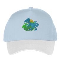 Classic 5-panel snapback (6007) Vignette