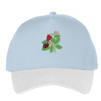 Classic 5-panel snapback (6007) Vignette