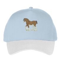 Classic 5-panel snapback (6007) Vignette