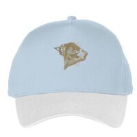 Classic 5-panel snapback (6007) Vignette