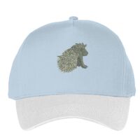 Classic 5-panel snapback (6007) Vignette