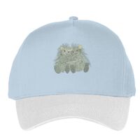 Classic 5-panel snapback (6007) Vignette