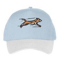 Classic 5-panel snapback (6007) Vignette