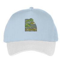 Classic 5-panel snapback (6007) Vignette