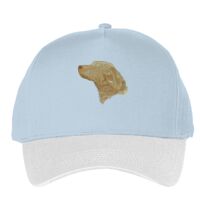 Classic 5-panel snapback (6007) Vignette