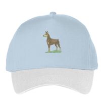 Classic 5-panel snapback (6007) Vignette